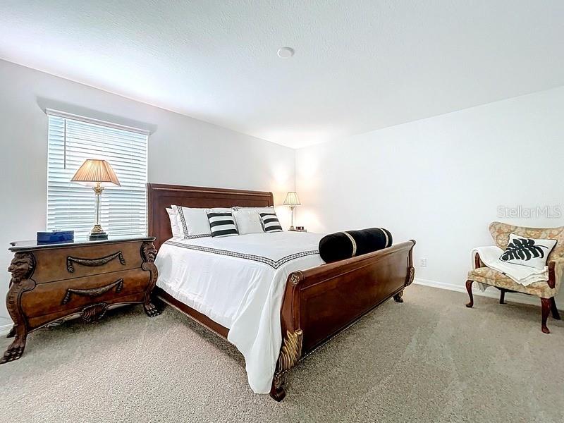 2450 Sunny Pebble Loop Property Photo 38