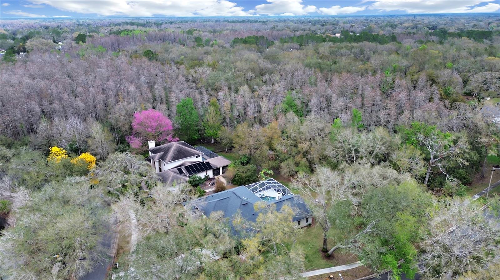 17307 Oak Ledge Dr Property Photo 44