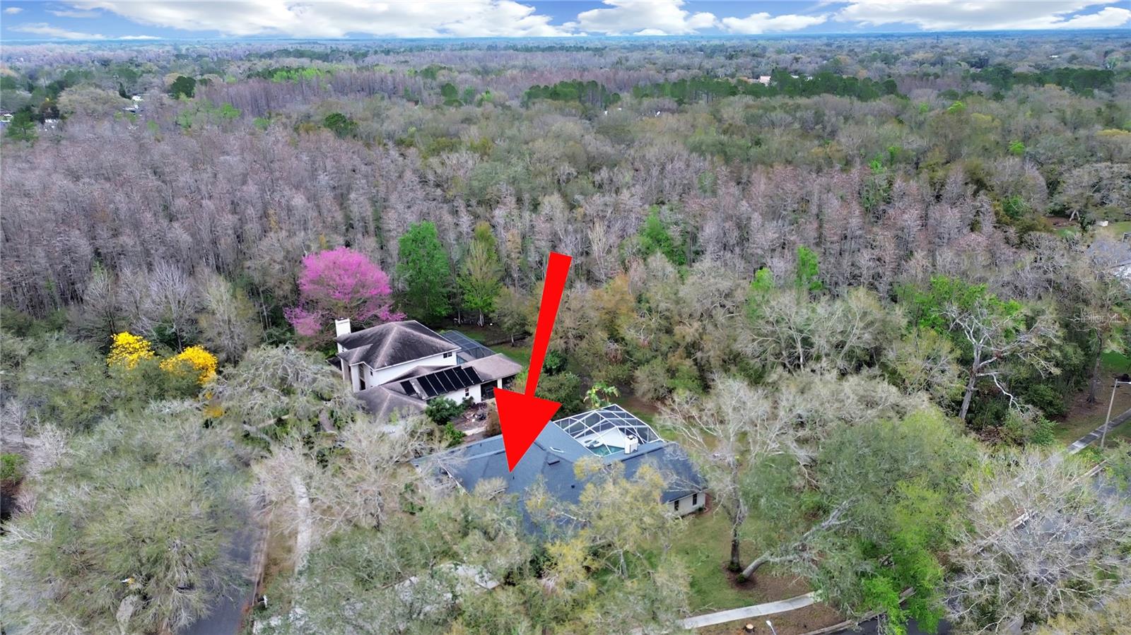 17307 Oak Ledge Dr Property Photo 48