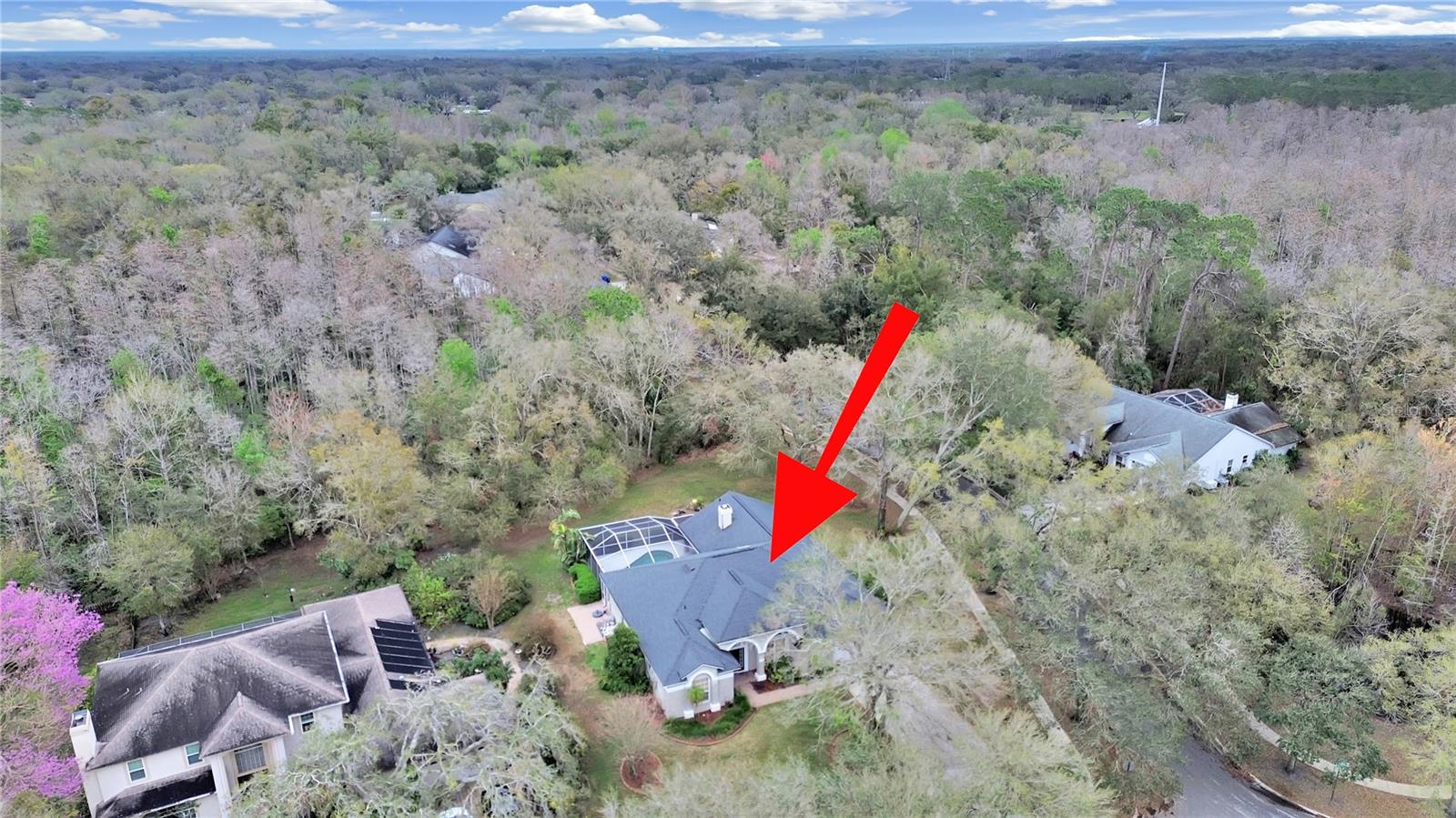 17307 Oak Ledge Dr Property Photo 49