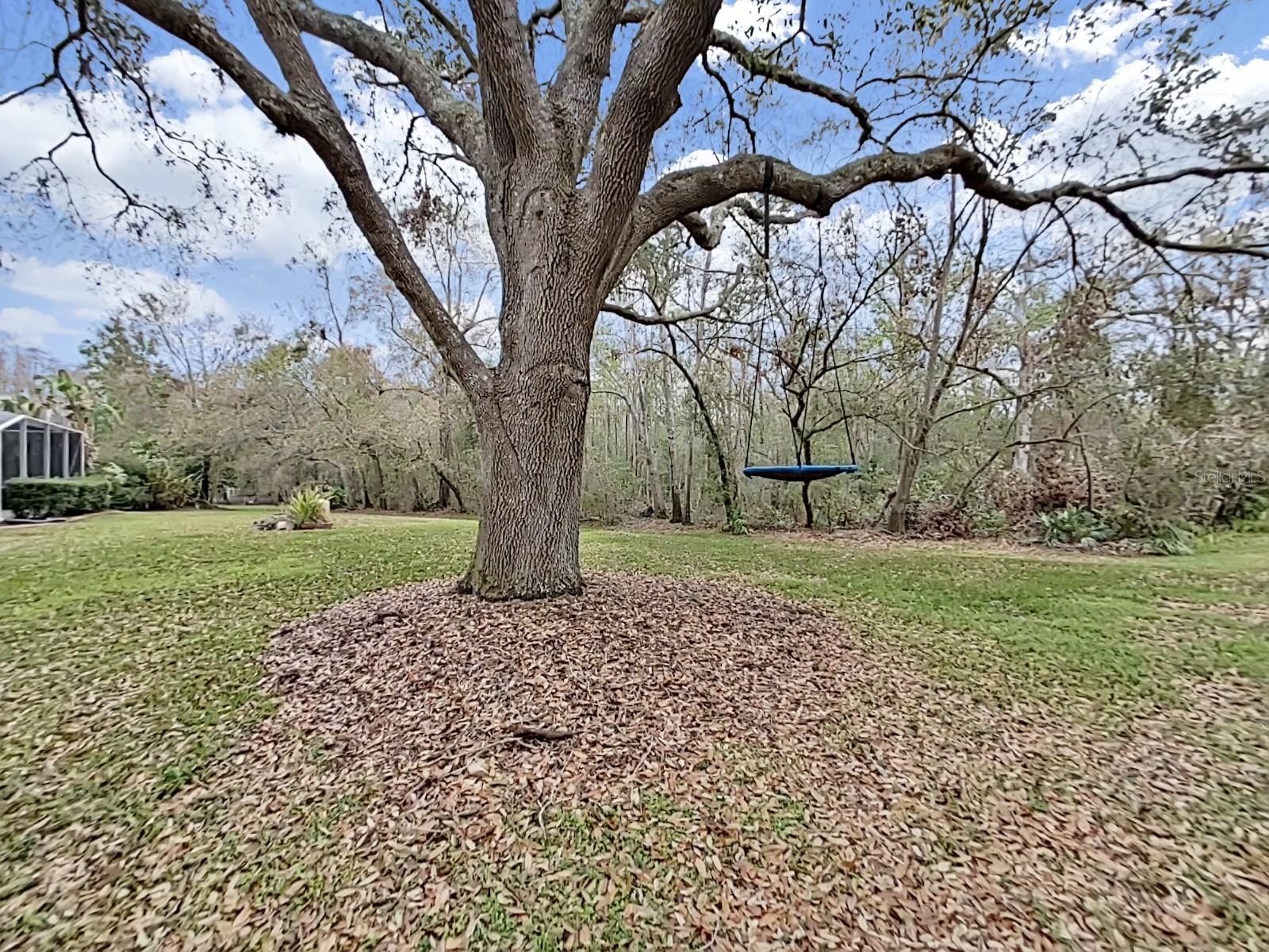 17307 Oak Ledge Dr Property Photo 54