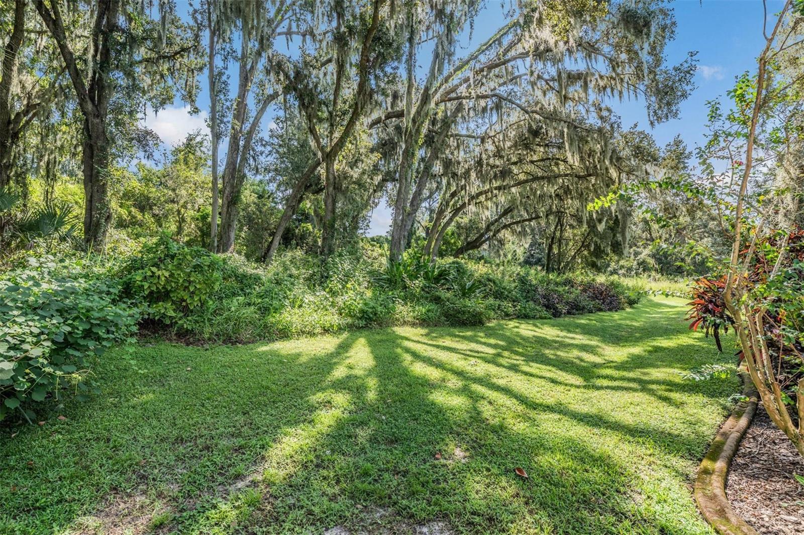 456 Oak Landing Blvd Property Photo 50