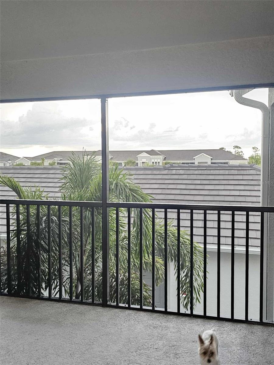 17470 Opal Sand Dr #201 Property Photo 54