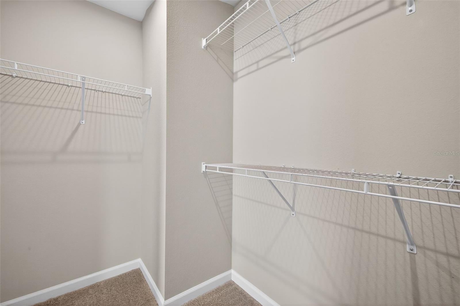13014 Sunseed St Property Photo 20