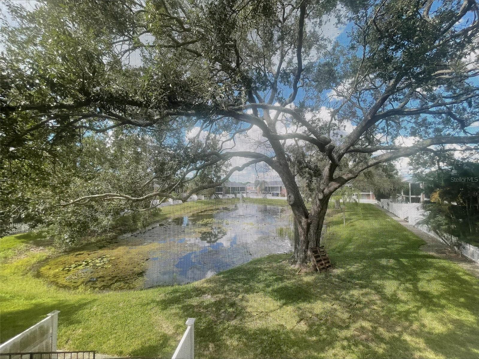 13831 Orange Sunset Dr #201 Property Photo 19