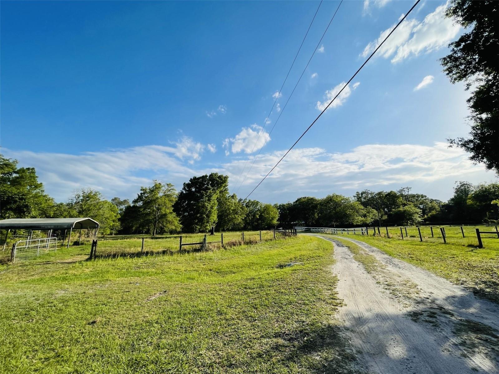 6810 Pearson Ln Property Photo 5