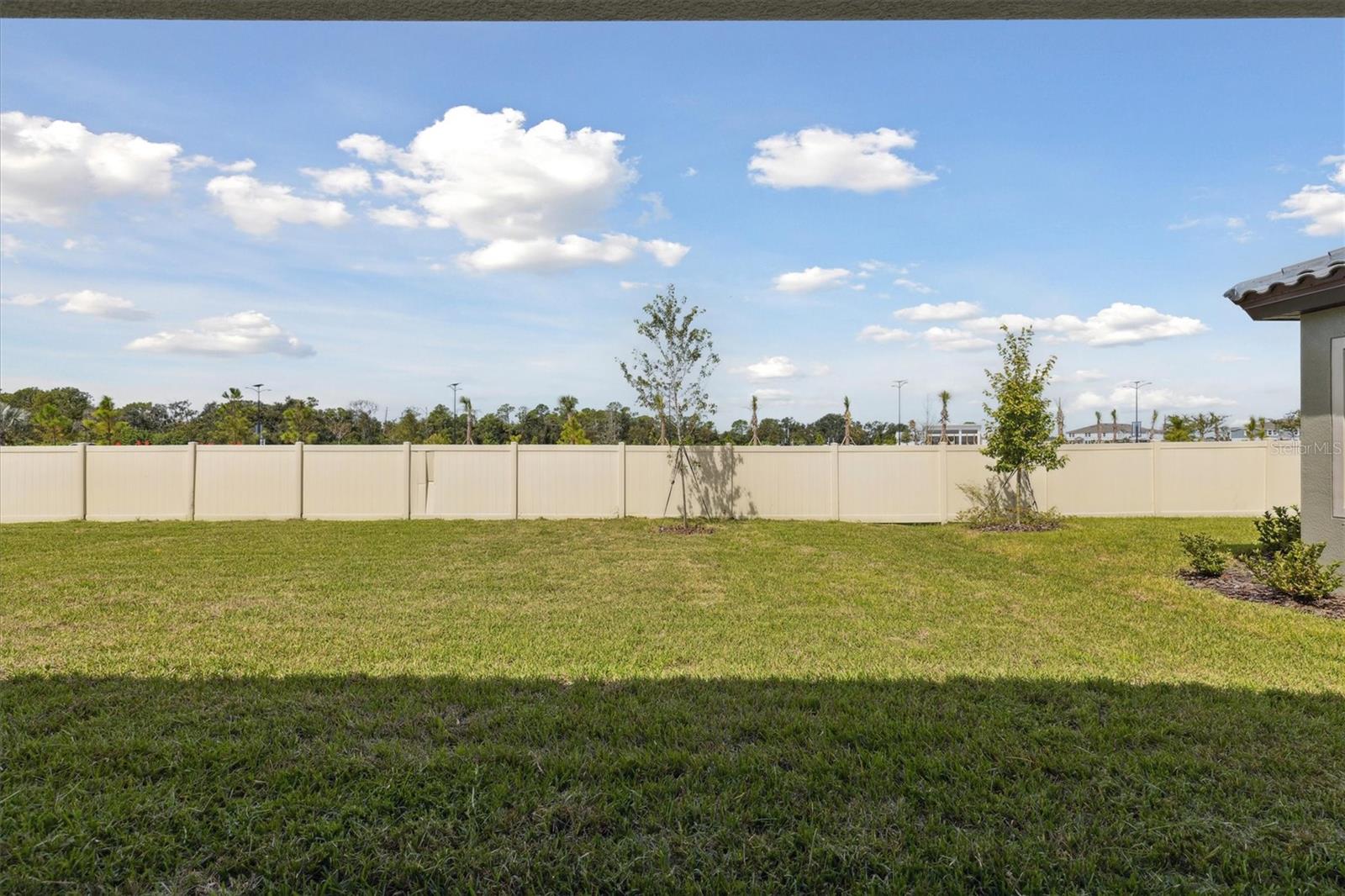 8517 Dove Bog Ter Property Photo 32