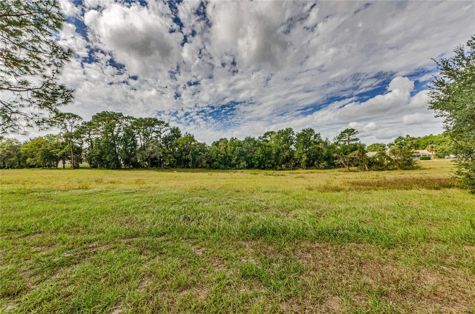 10443 Casa Grande Cir Property Photo 4