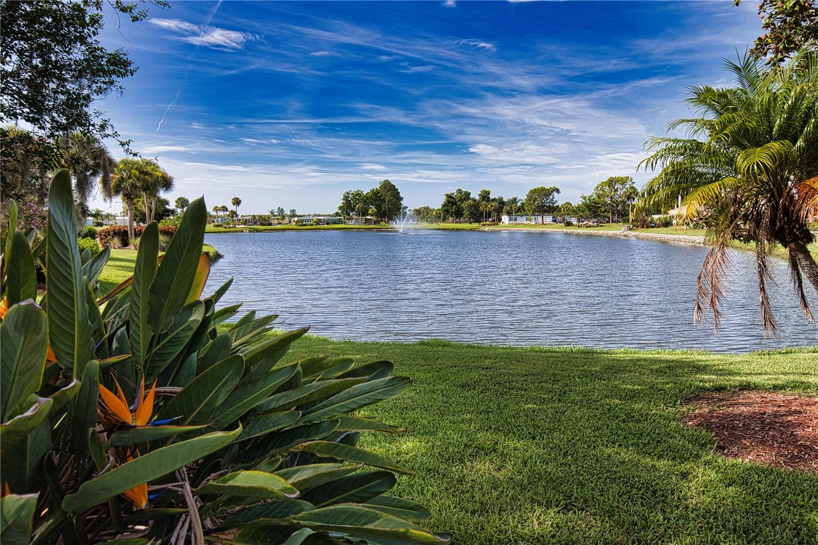 236 La Rosas Property Photo 100