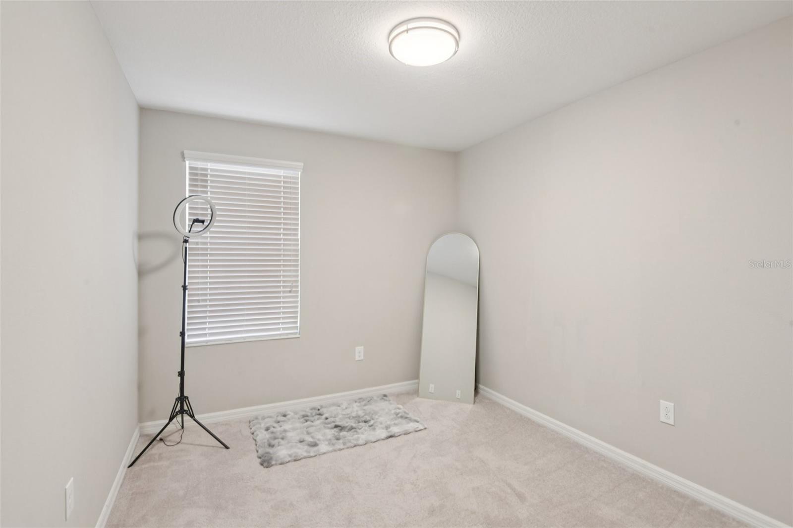7046 Towne Lake Rd Property Photo 28