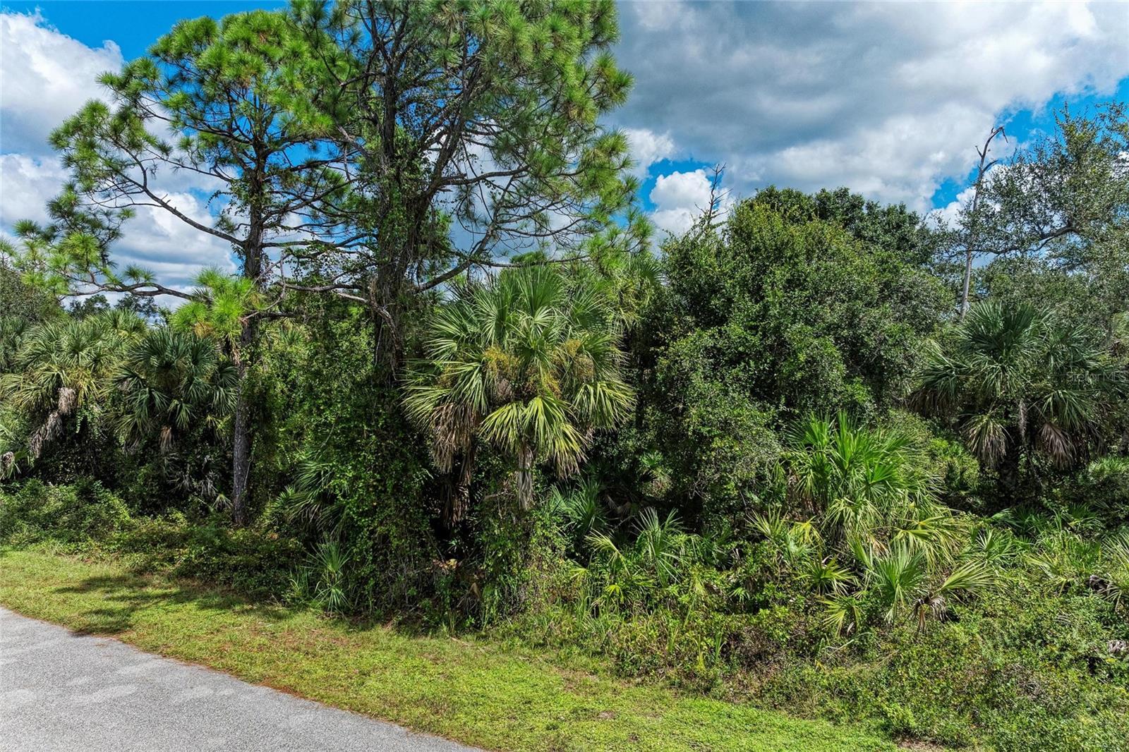 Lot 25 Billingham Ln Property Photo 9