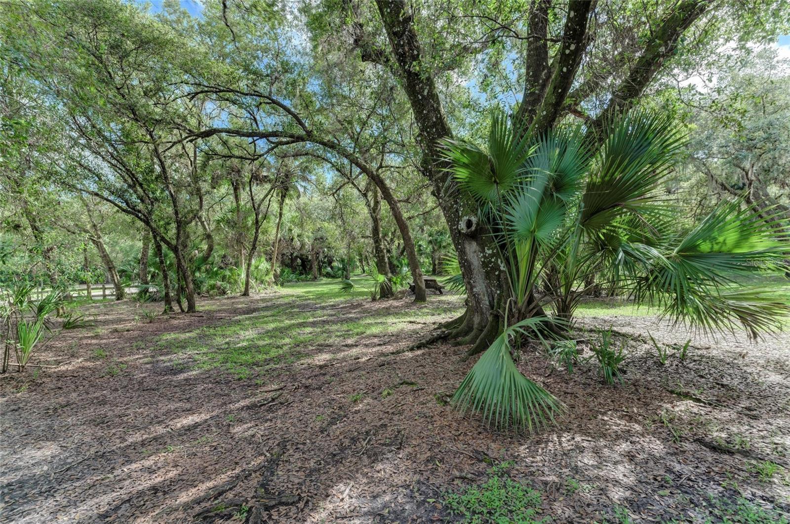 Lot 25 Billingham Ln Property Photo 24