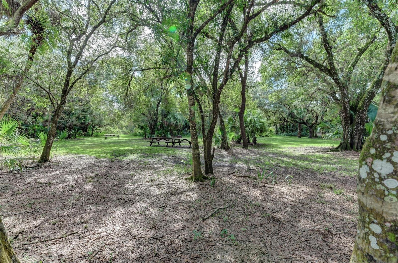 Lot 25 Billingham Ln Property Photo 35