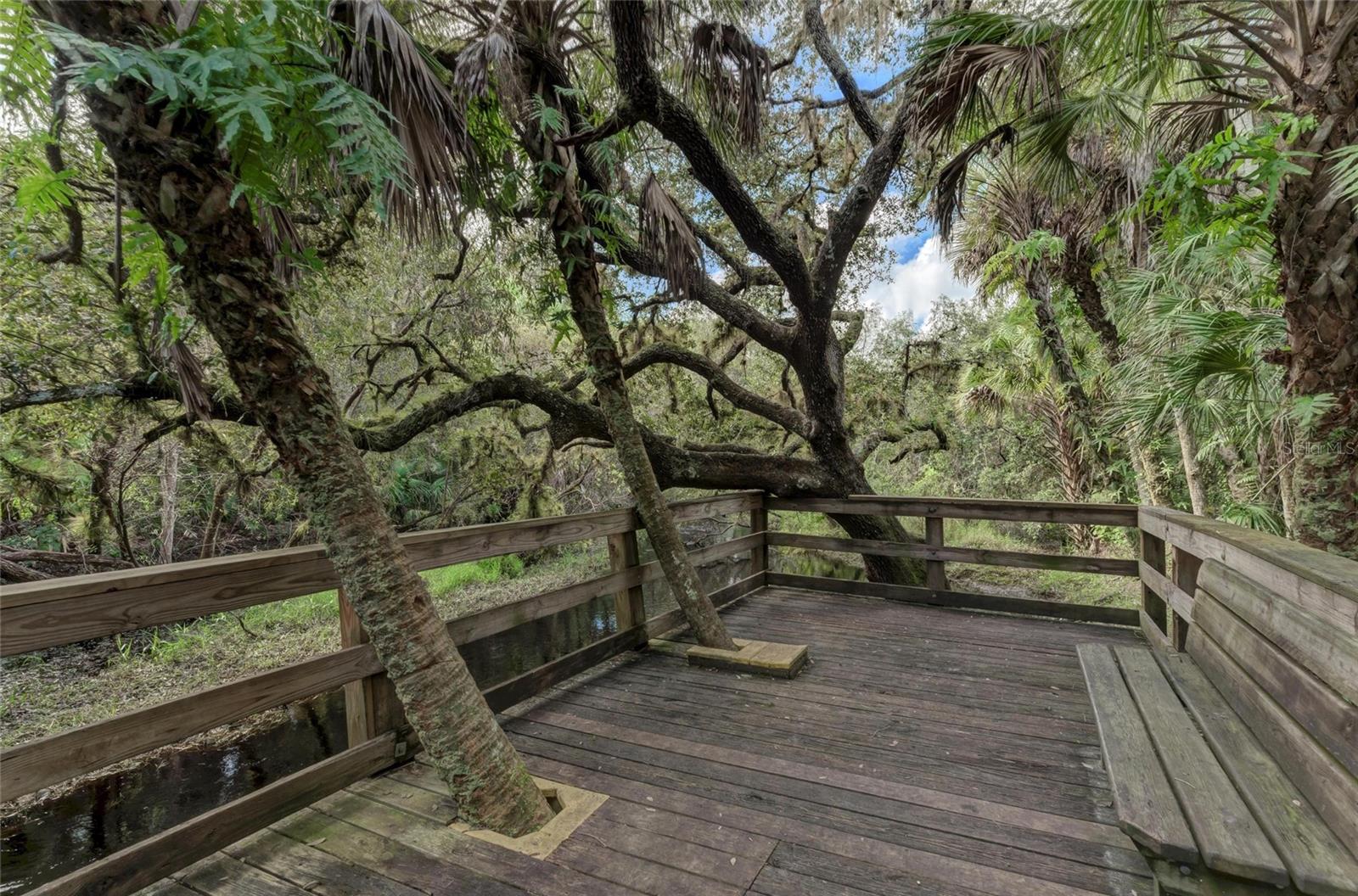 Lot 25 Billingham Ln Property Photo 40