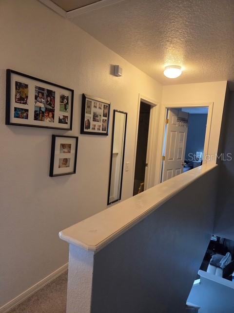2013 Sea Front Ct Property Photo 13