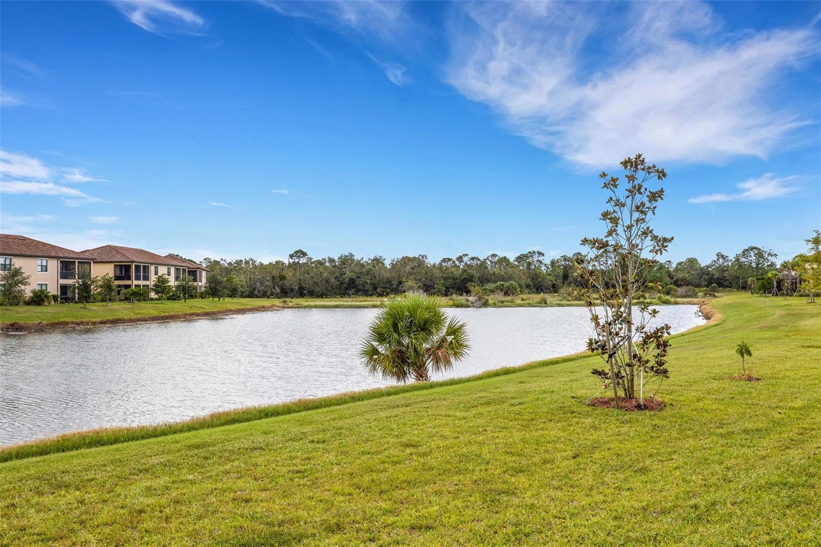 20450 Lagente Cir Property Photo 58