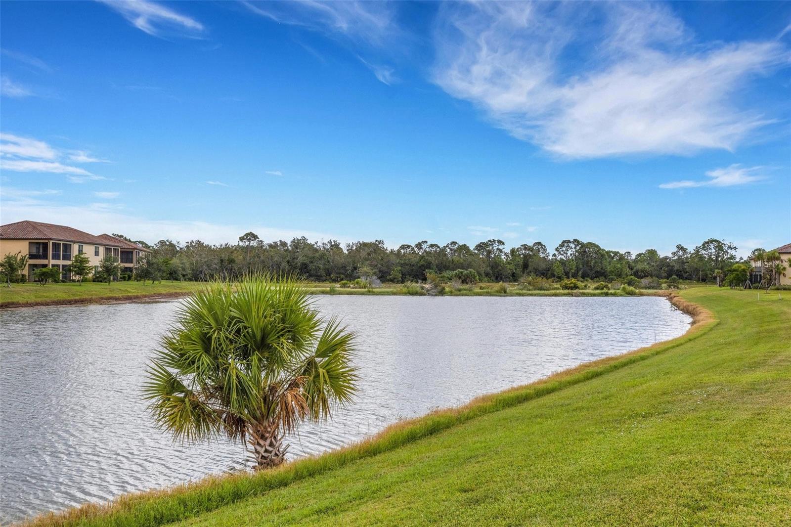 20450 Lagente Cir Property Photo 60