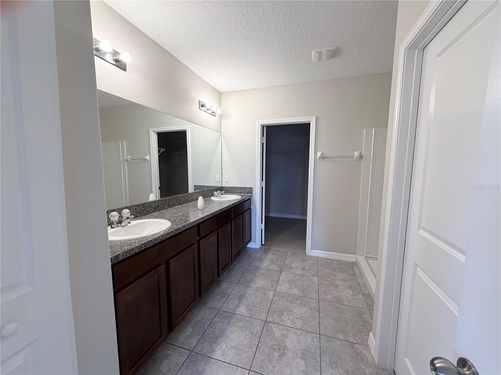 10013 Crested Fringe Dr Property Photo 12