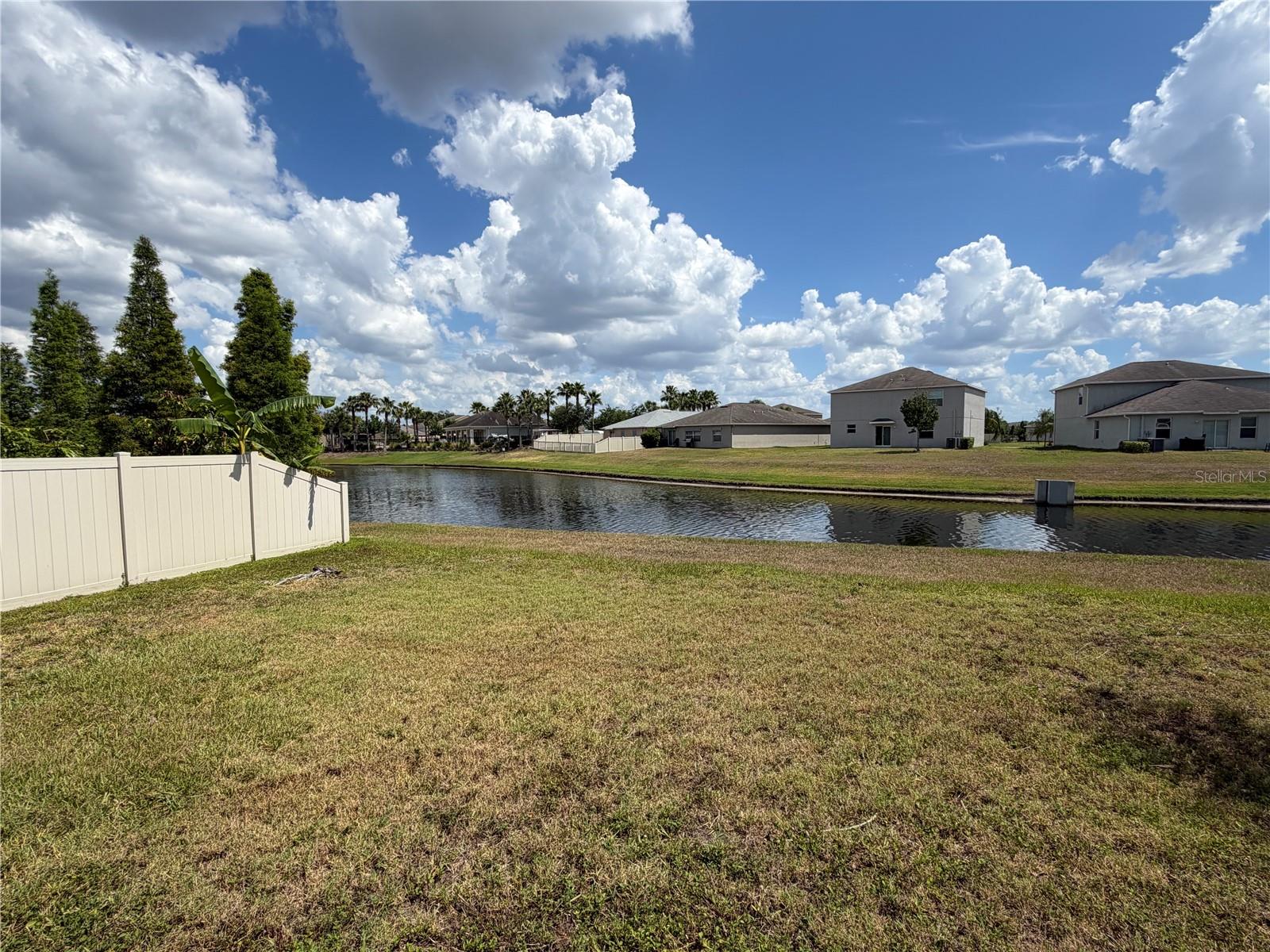10013 Crested Fringe Dr Property Photo 23