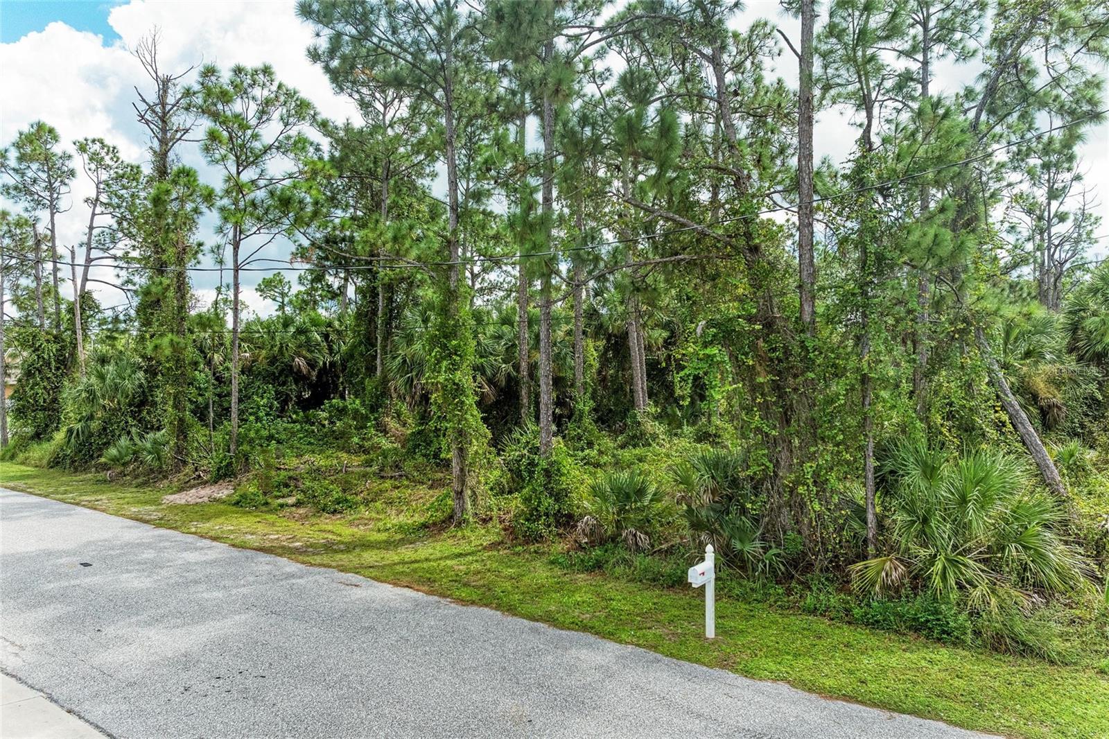 1139164804, 1139164805 Foxglove Ave #lot 4, Lot 5 Property Photo 5