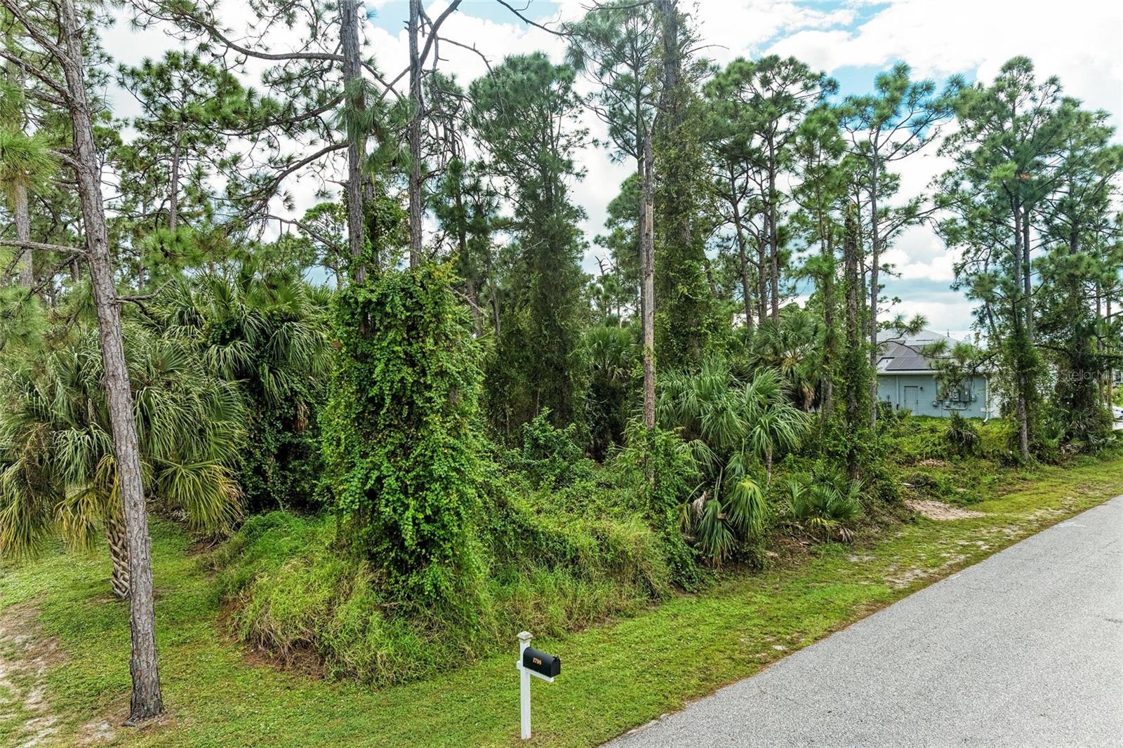 1139164804, 1139164805 Foxglove Ave #lot 4, Lot 5 Property Photo 9