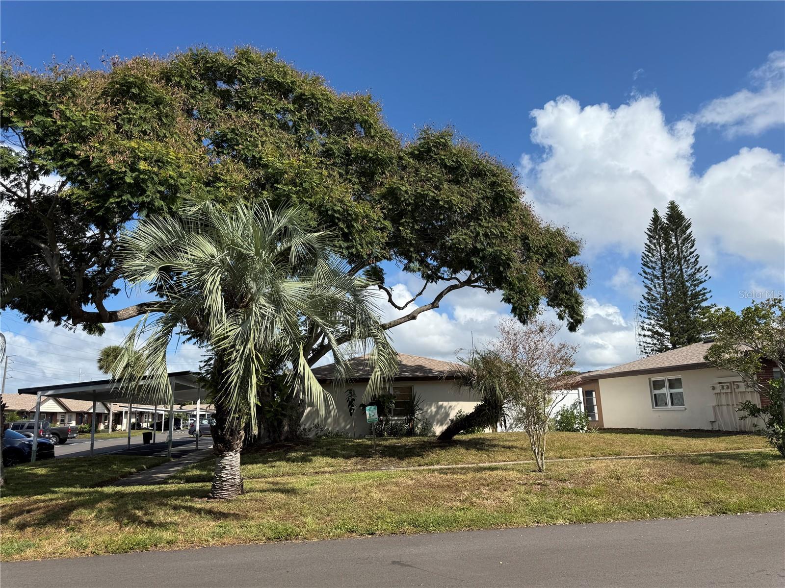 24862 Us Highway 19 N #3002 Property Photo 4