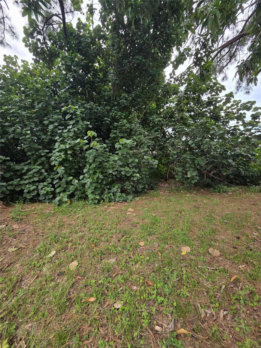 5380 77th Ave N Property Photo 45