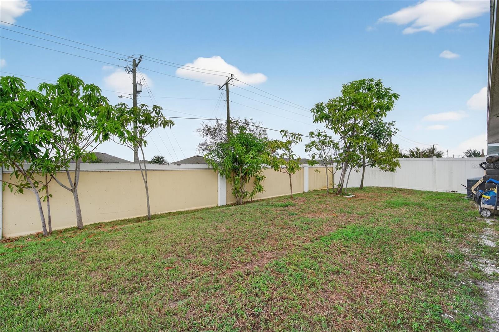 1426 Blossom Bayou Cir Property Photo 35