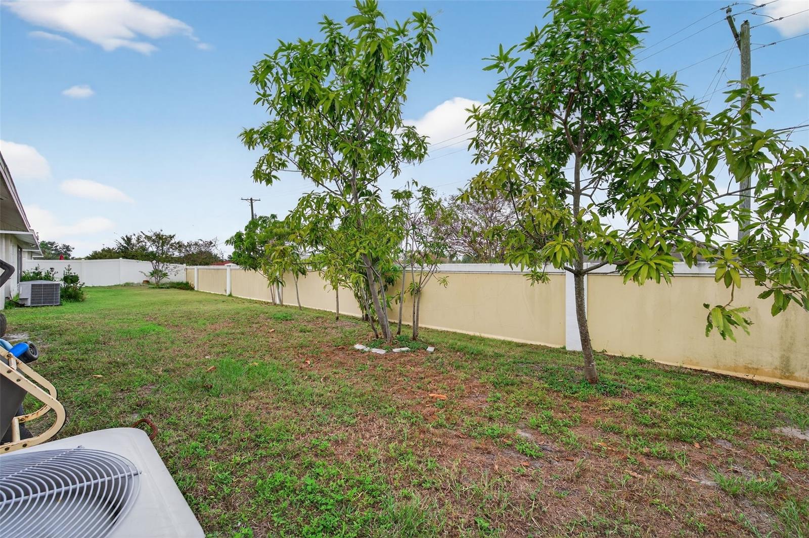 1426 Blossom Bayou Cir Property Photo 36