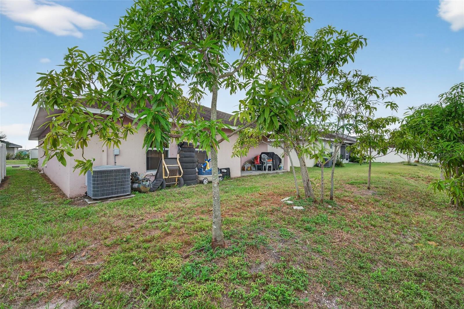 1426 Blossom Bayou Cir Property Photo 37