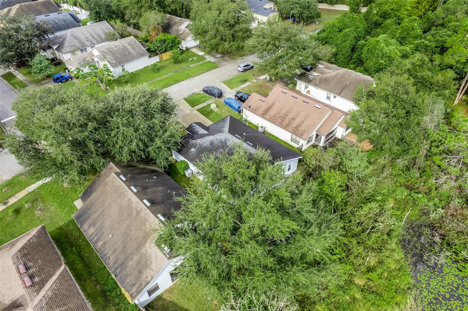 226 Haversham Rd Property Photo 38