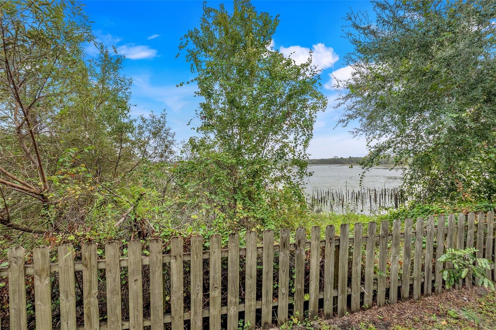 226 Haversham Rd Property Photo 42