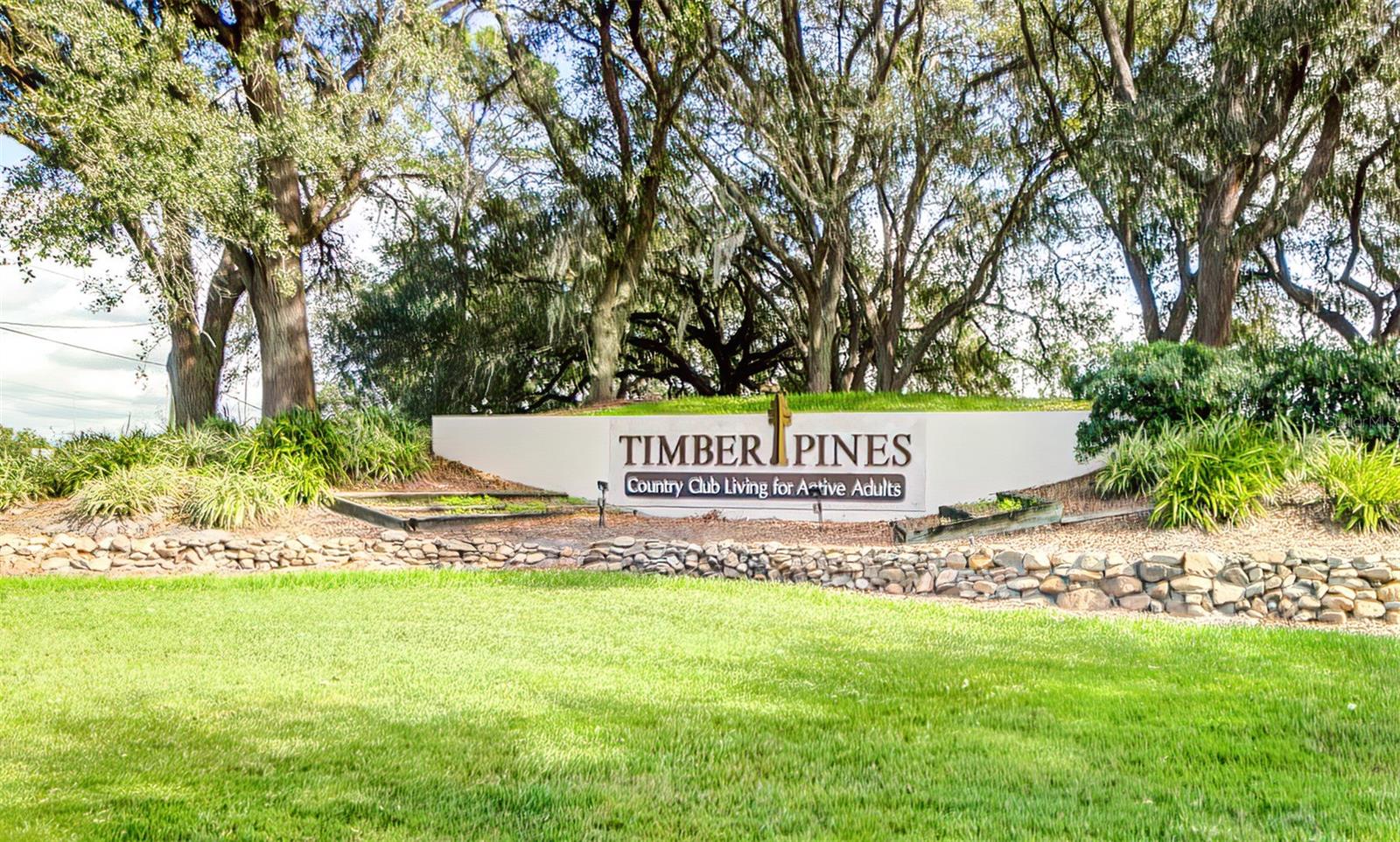 6517 Ocean Pines Ln Property Photo 41