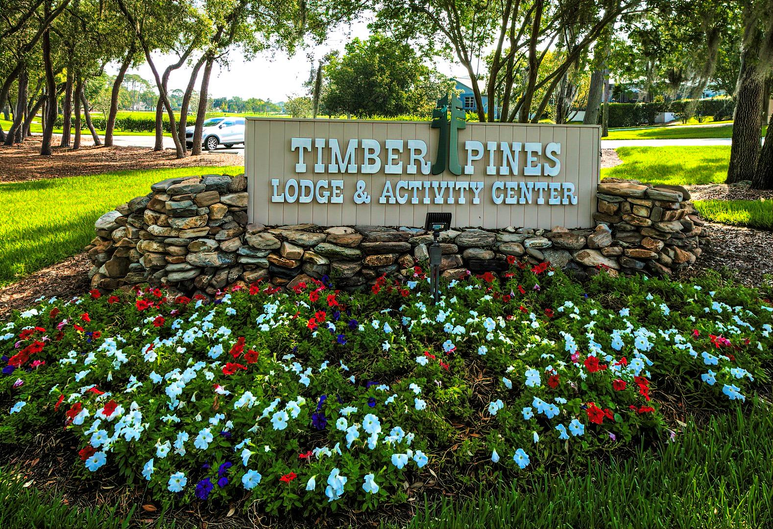 6517 Ocean Pines Ln Property Photo 59