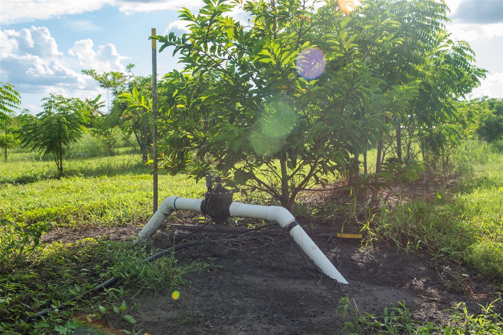 Blanton Acres Rd Property Photo 8