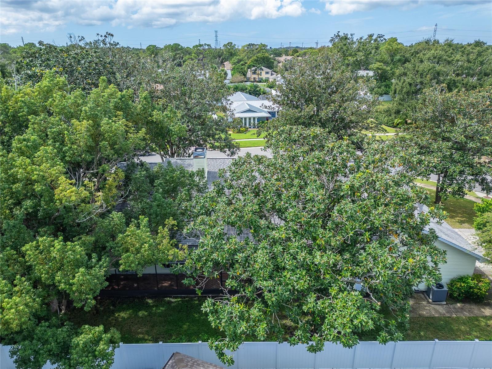 2873 Sea Pines Cir W Property Photo 98