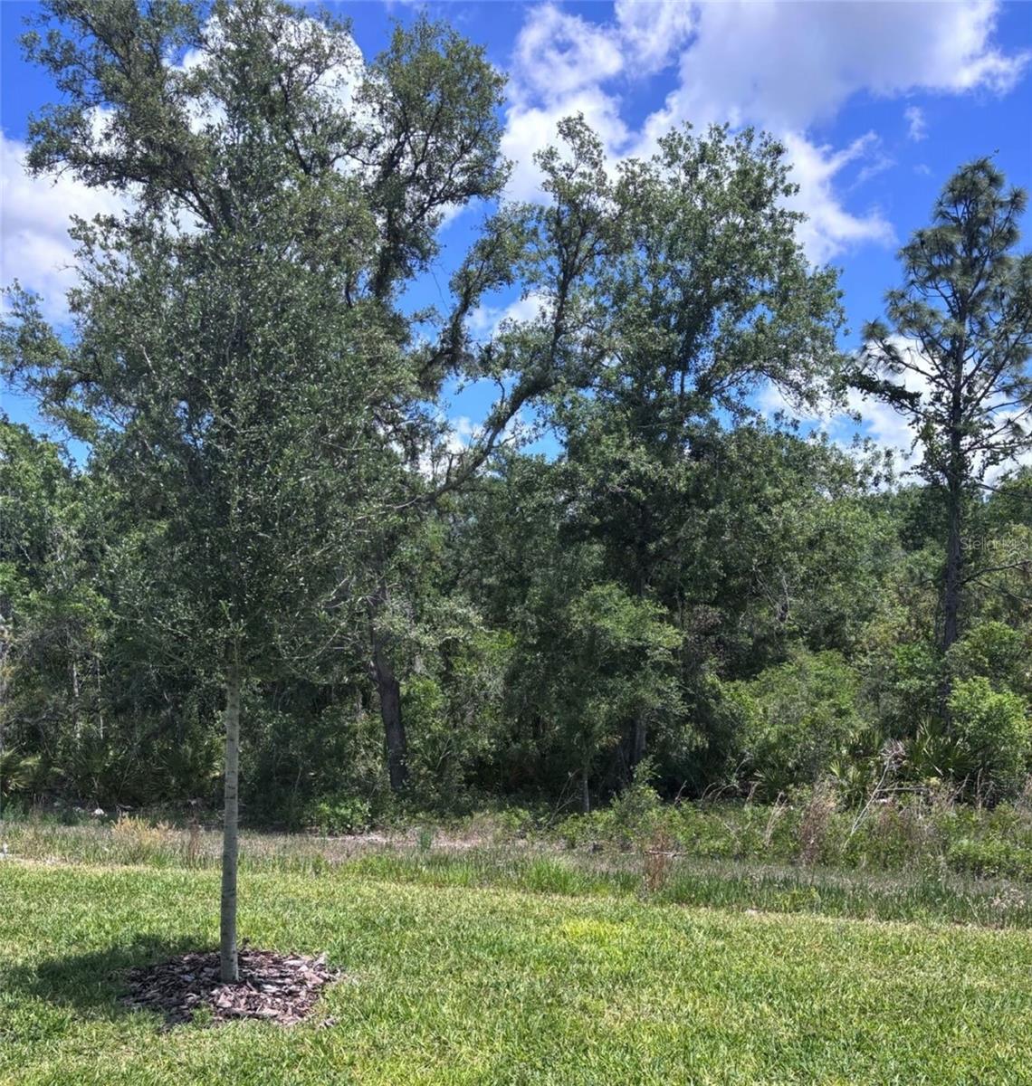 13630 Canyon Ridge Rd Property Photo 17