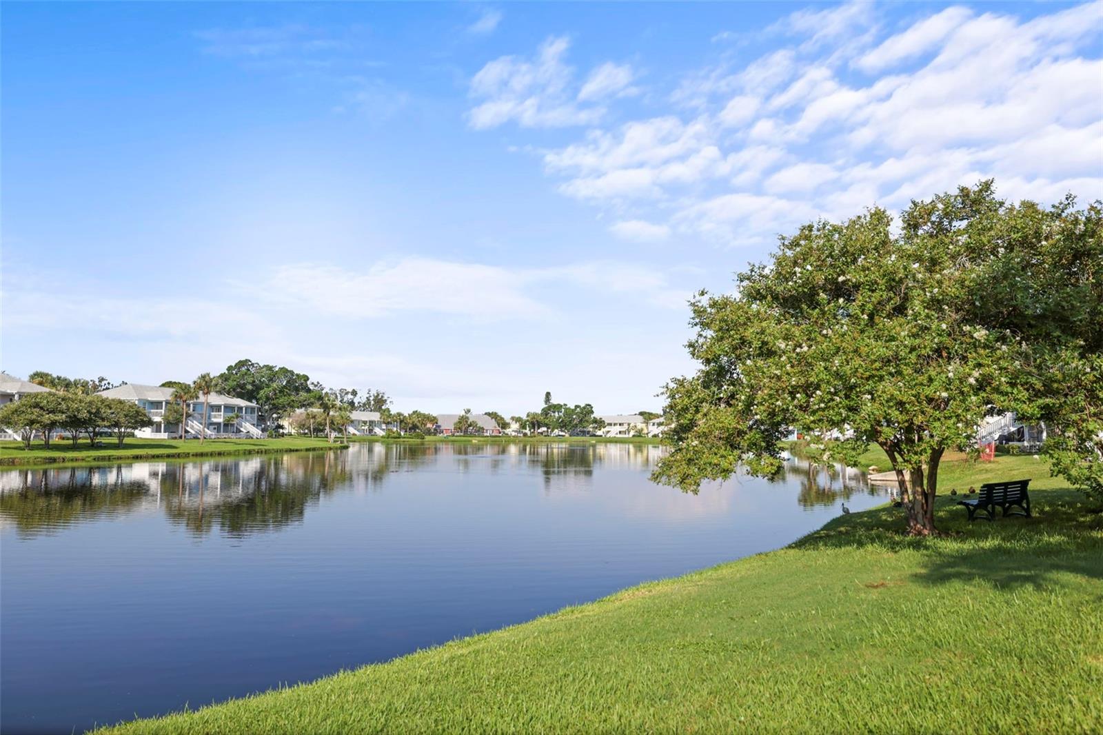 247 Pompano Dr Se #b Property Photo 44