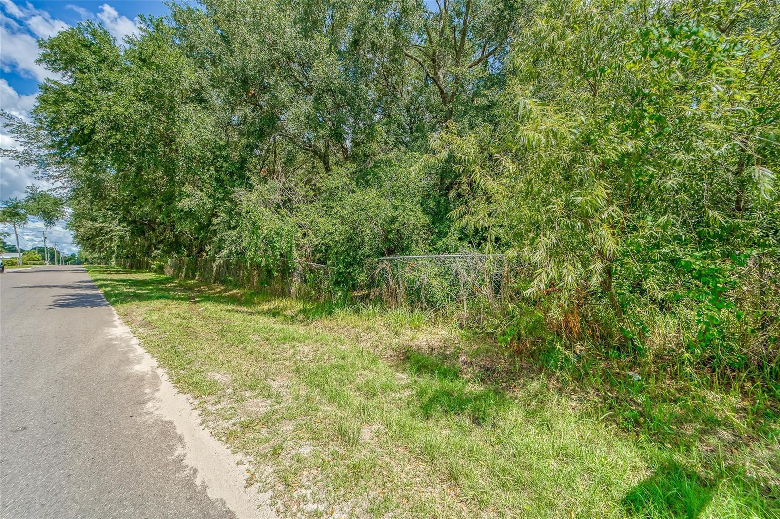 Turkey Creek Rd Property Photo 14
