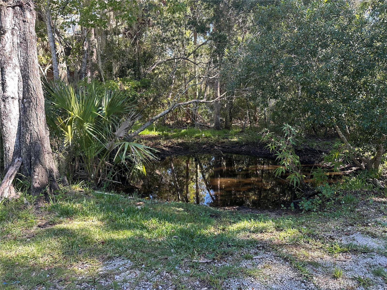 237 N Candle Pt Property Photo 20