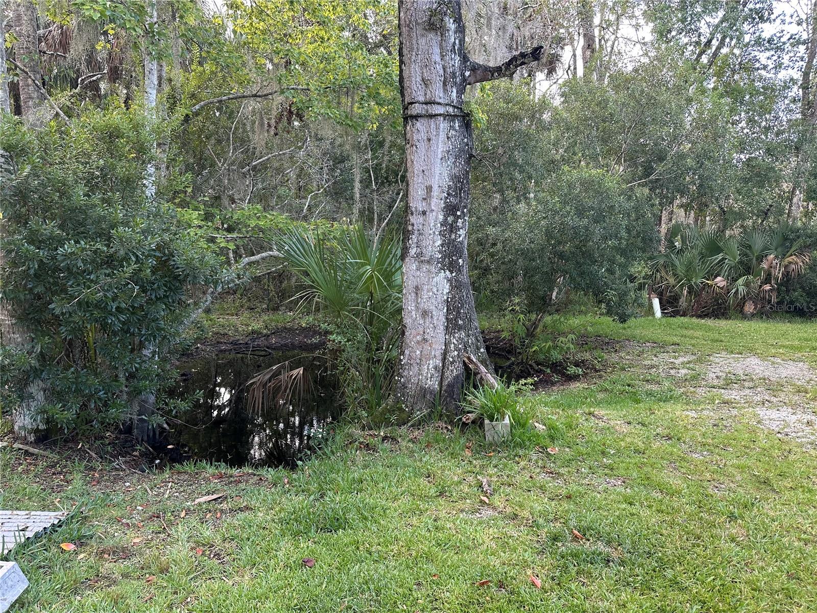 237 N Candle Pt Property Photo 22