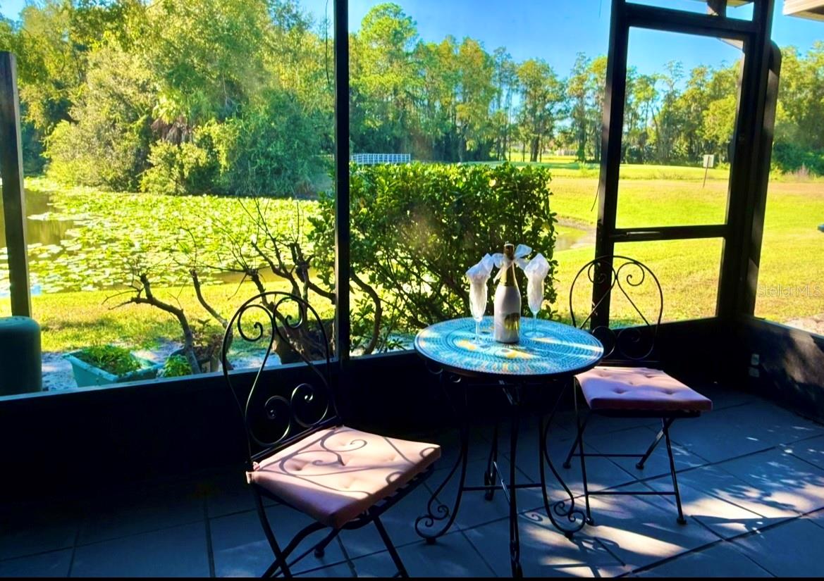 16112 Rambling Vine Dr W Property Photo 23