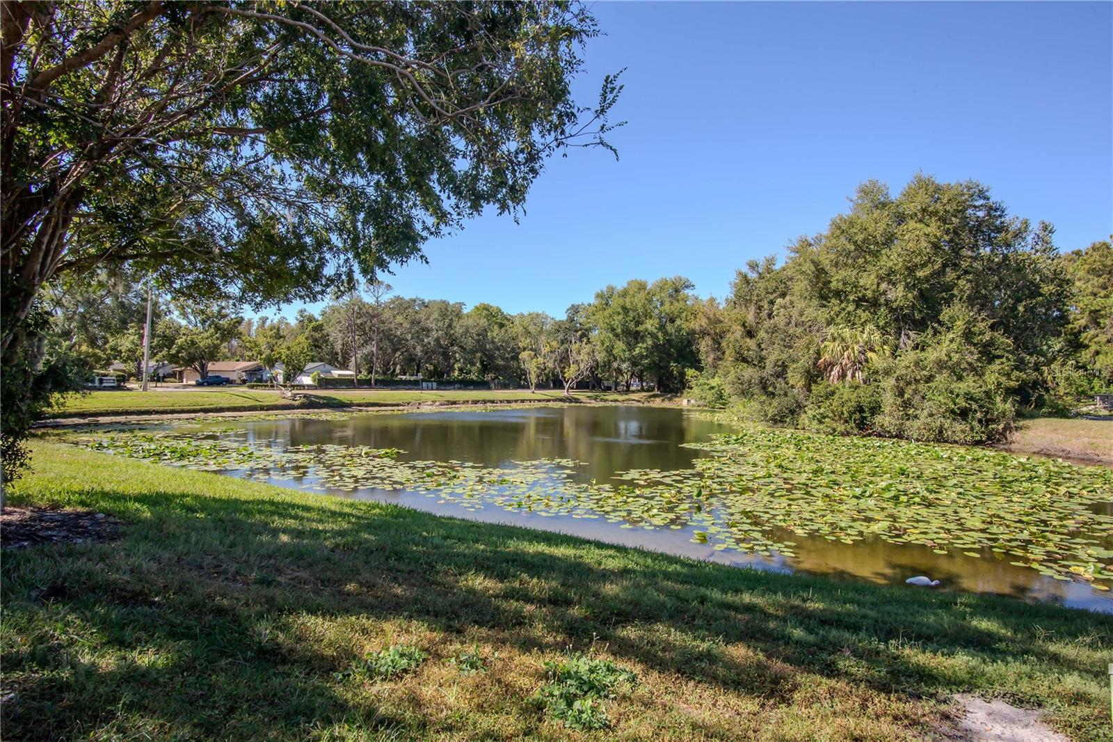 16112 Rambling Vine Dr W Property Photo 24