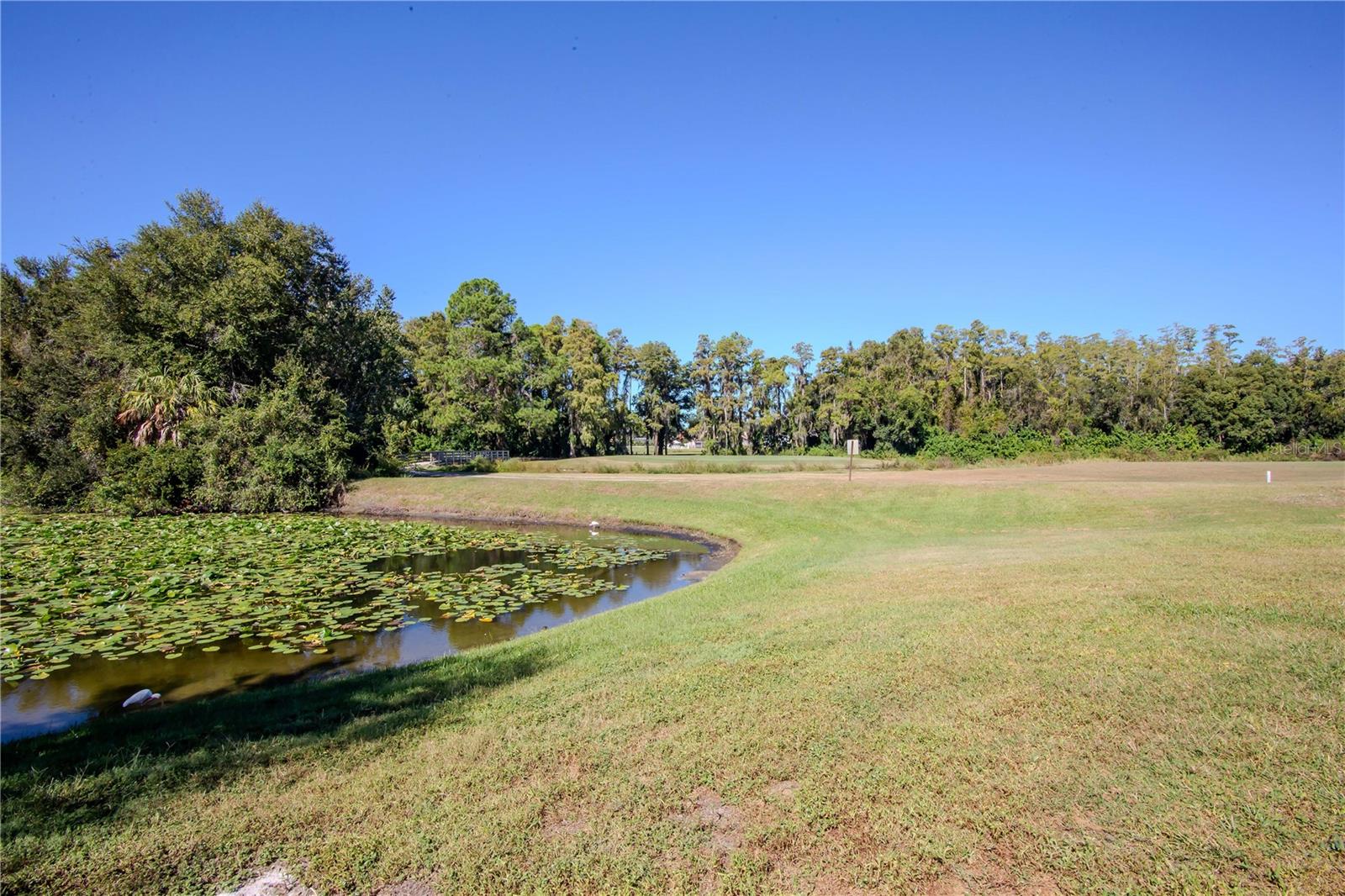 16112 Rambling Vine Dr W Property Photo 25