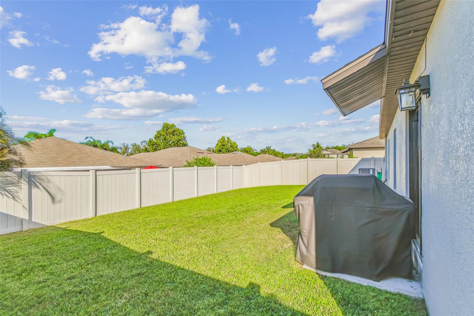10112 Rosemary Leaf Ln Property Photo 31