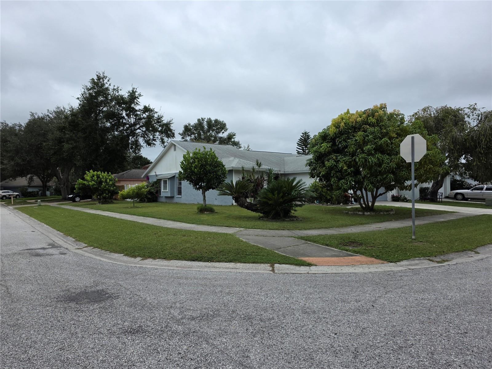 13202 Pine Creek Circle Property Photo 3
