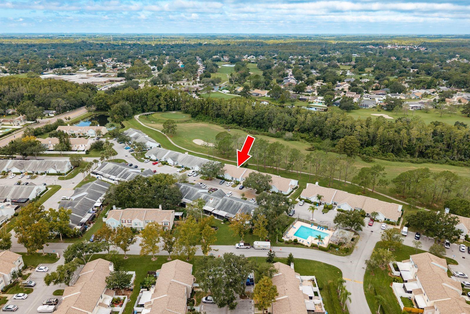 16218 Rambling Vine Dr W Property Photo 3