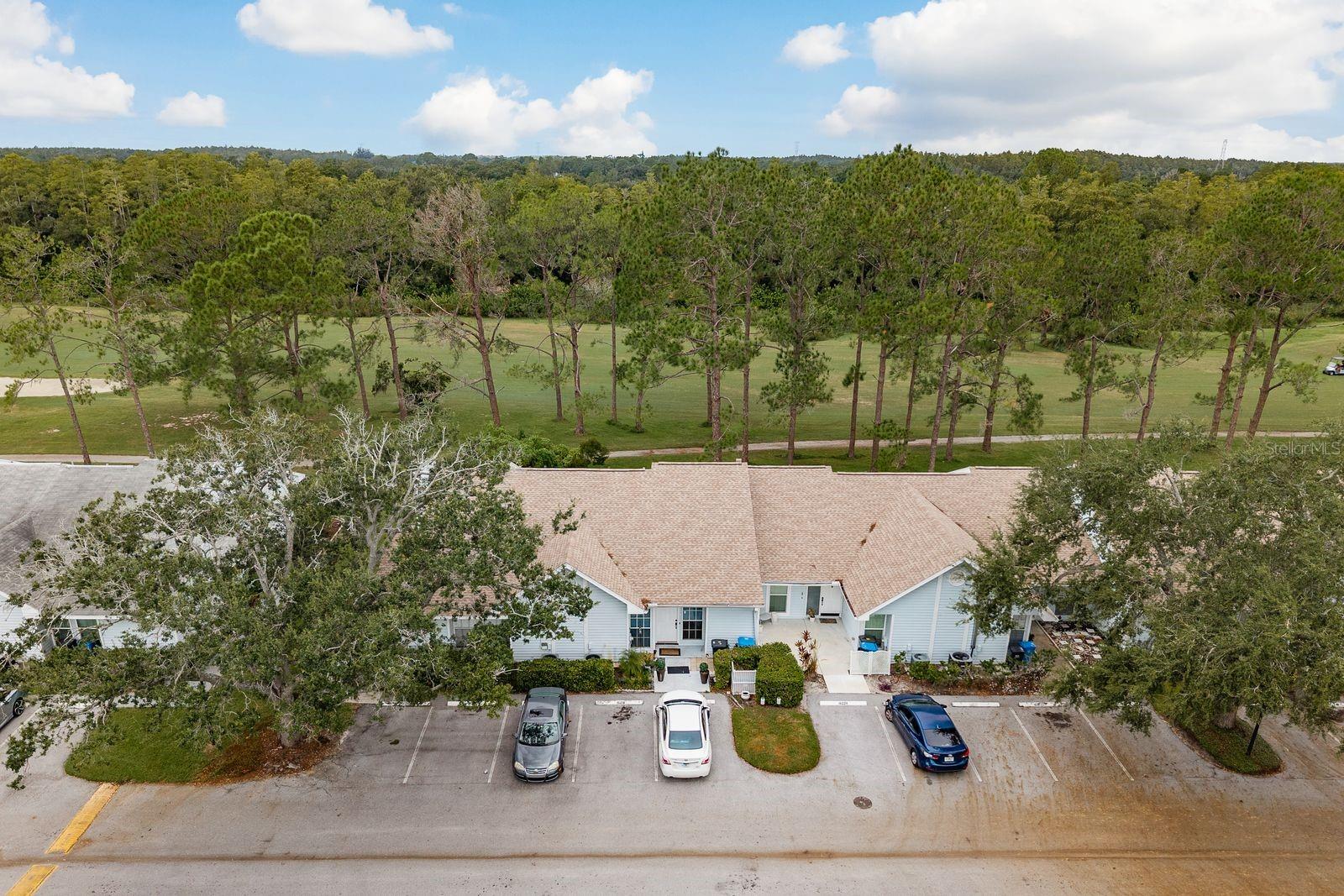 16218 Rambling Vine Dr W Property Photo 29