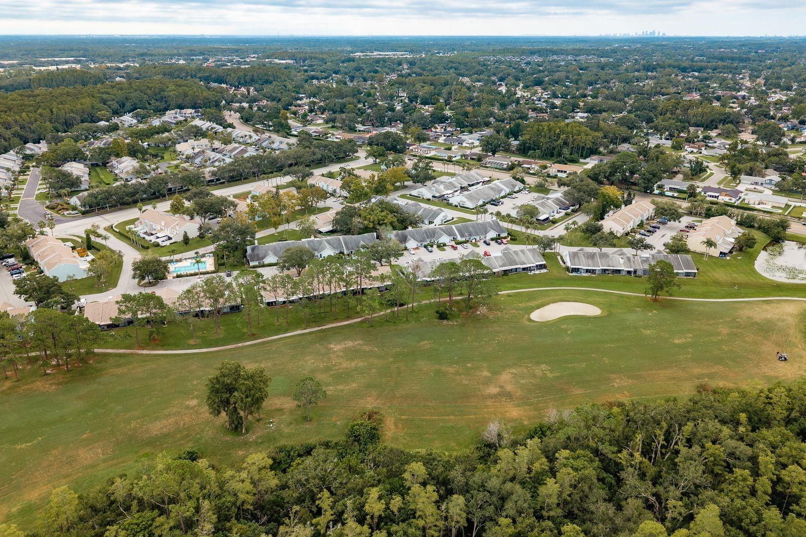 16218 Rambling Vine Dr W Property Photo 30