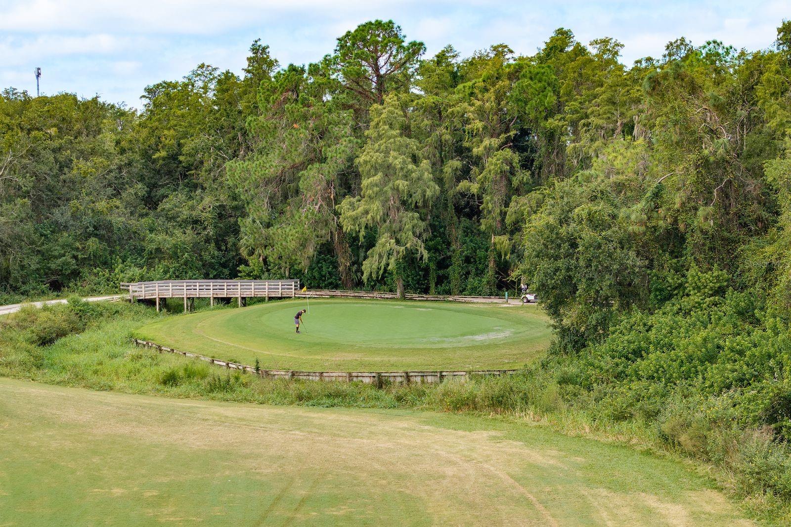 16218 Rambling Vine Dr W Property Photo 34